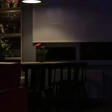 招待所 萨弗兰酒店 2*